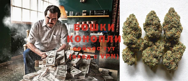 ПСИЛОЦИБИНОВЫЕ ГРИБЫ Краснослободск